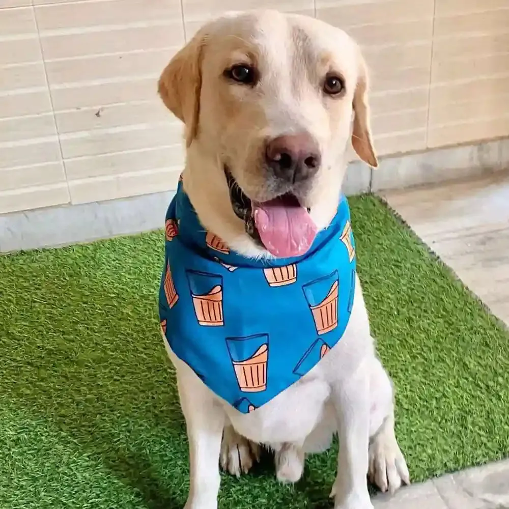 15buttons Cutting Chai Bandana for Dogs