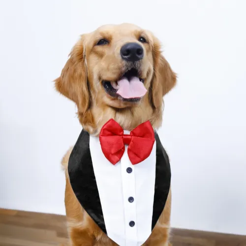 15buttons Tuxedo Bandana for Dogs