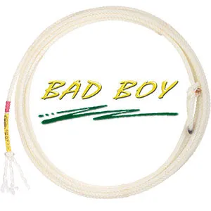 BAD BOY HEEL #2 HARD 36'