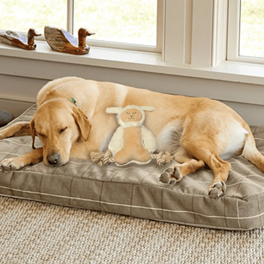 Barkbutler x Fofos Ropeleg Plush Sheep Toy for Dogs | For Medium Chewers (White)
