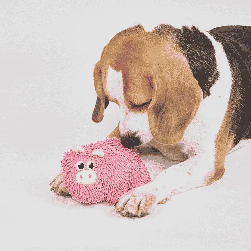 Barkbutler x Fofos Tough Pig Chew Toy for Dogs