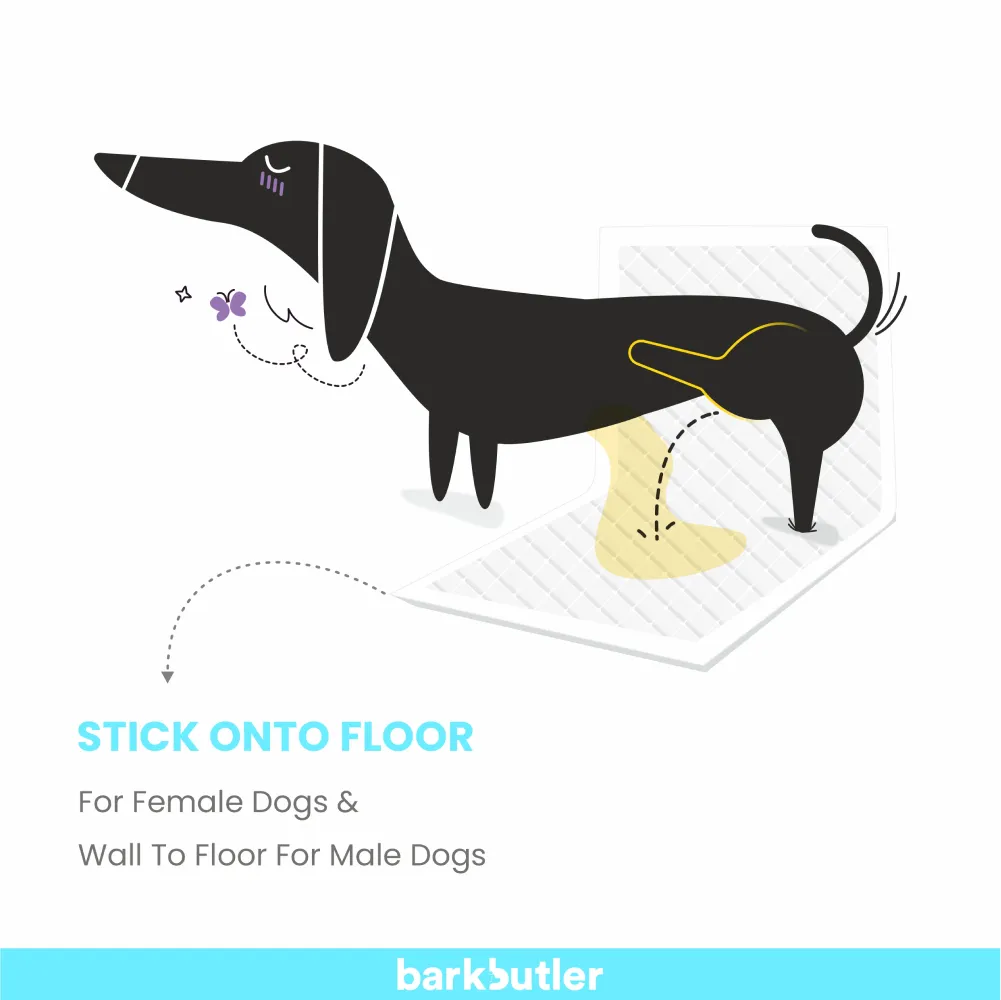 Barkbutler x Fofos Training Pad for Dogs (60x90cm)