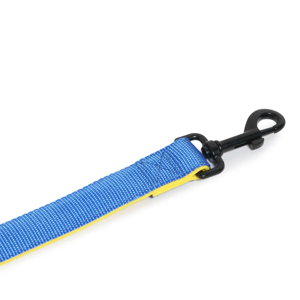 Basil Nylon Padded Leash for Dogs (Blue)