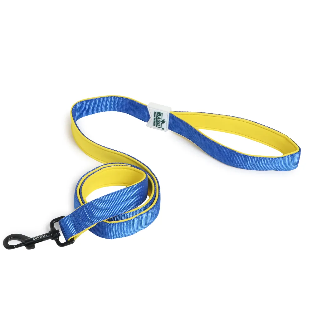 Basil Nylon Padded Leash for Dogs (Blue)