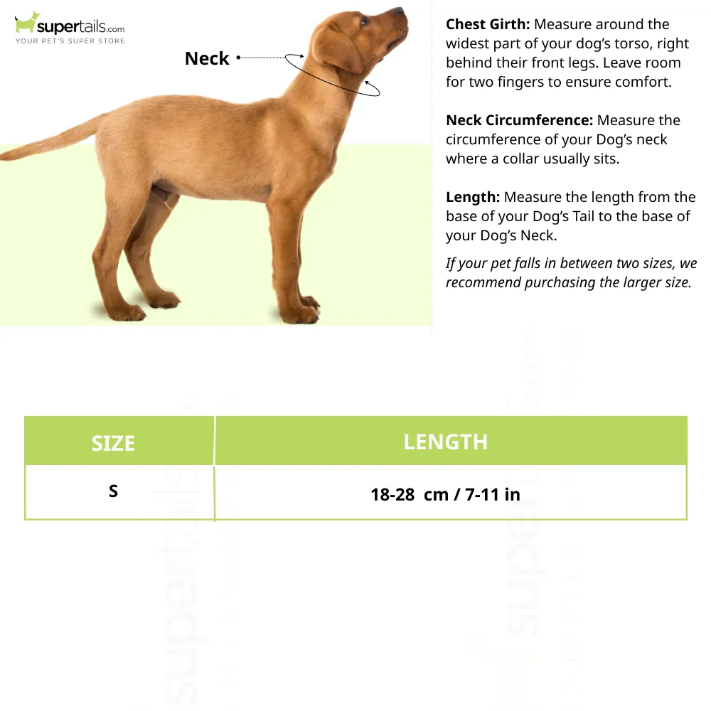 Basil Printed Collar for Cats & Puppies (Green)