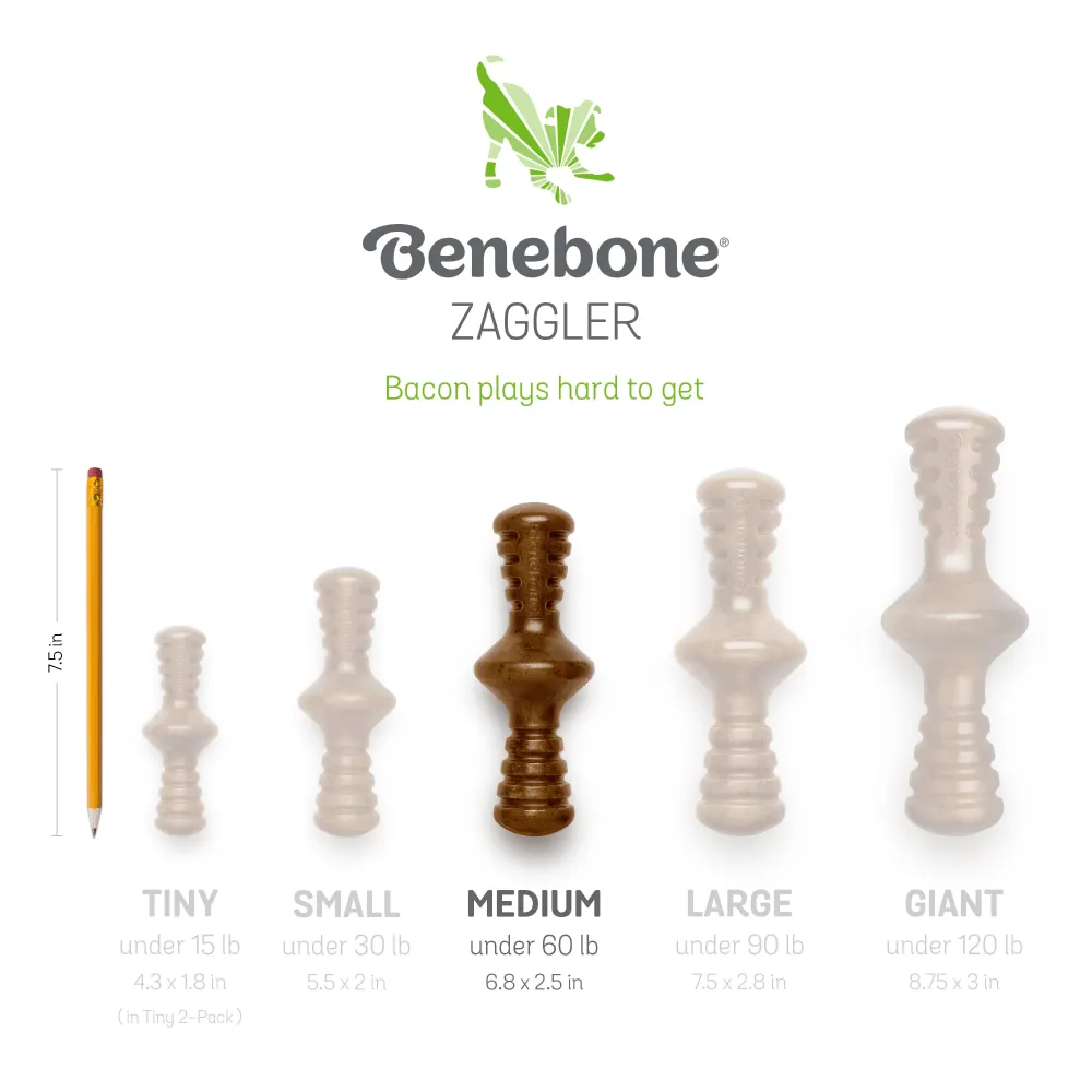 Benebone Bacon Butter Flavored Zaggler Rolling Chew Toy for Dogs
