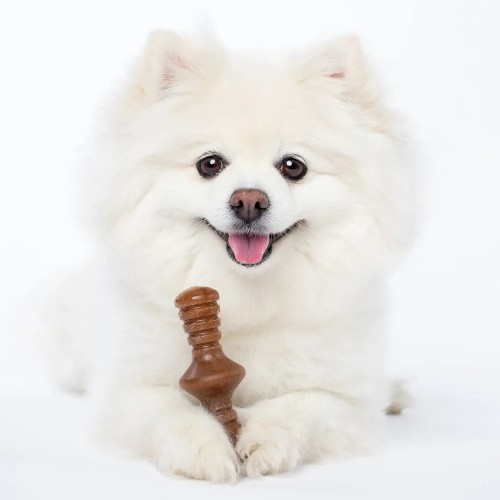 Benebone Bacon Flavored Maplestick and Zaggler Chew Toys for Dogs