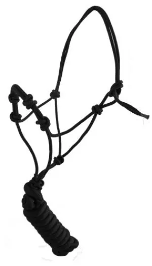 BLACK HALTER W/ TRAINING KNOTS - YEARLING