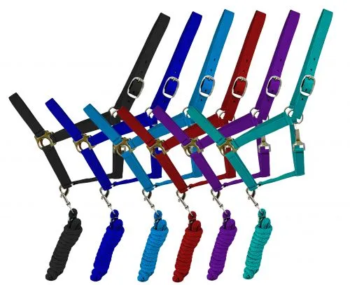 BLK Full Size adjustable nylon halter with 8.5FT lead