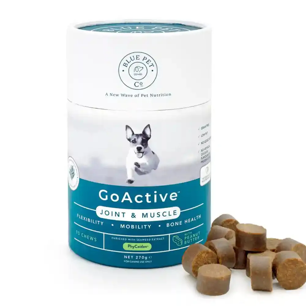 Blue Pet Co Go Active Peanut Butter Flavor Joint & Muscle Chews for Dogs