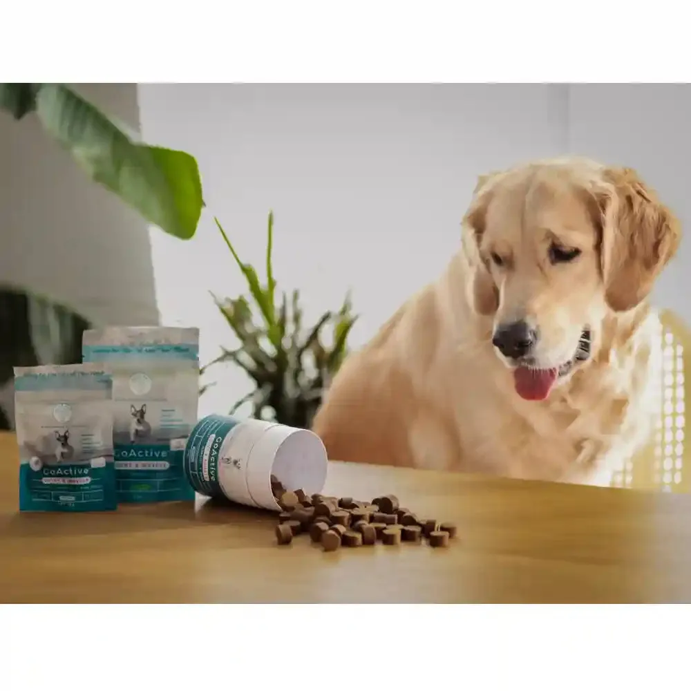 Blue Pet Co Go Active Peanut Butter Flavor Joint & Muscle Chews for Dogs