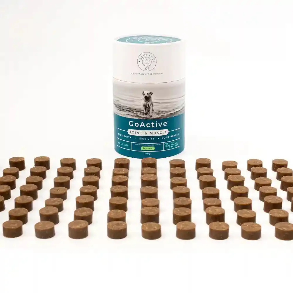 Blue Pet Co Go Active Peanut Butter Flavor Joint & Muscle Chews for Dogs