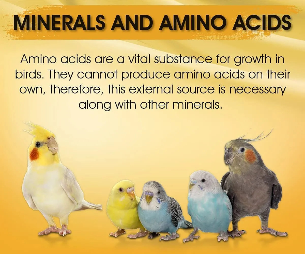 Boltz Immunity Booster for All Birds