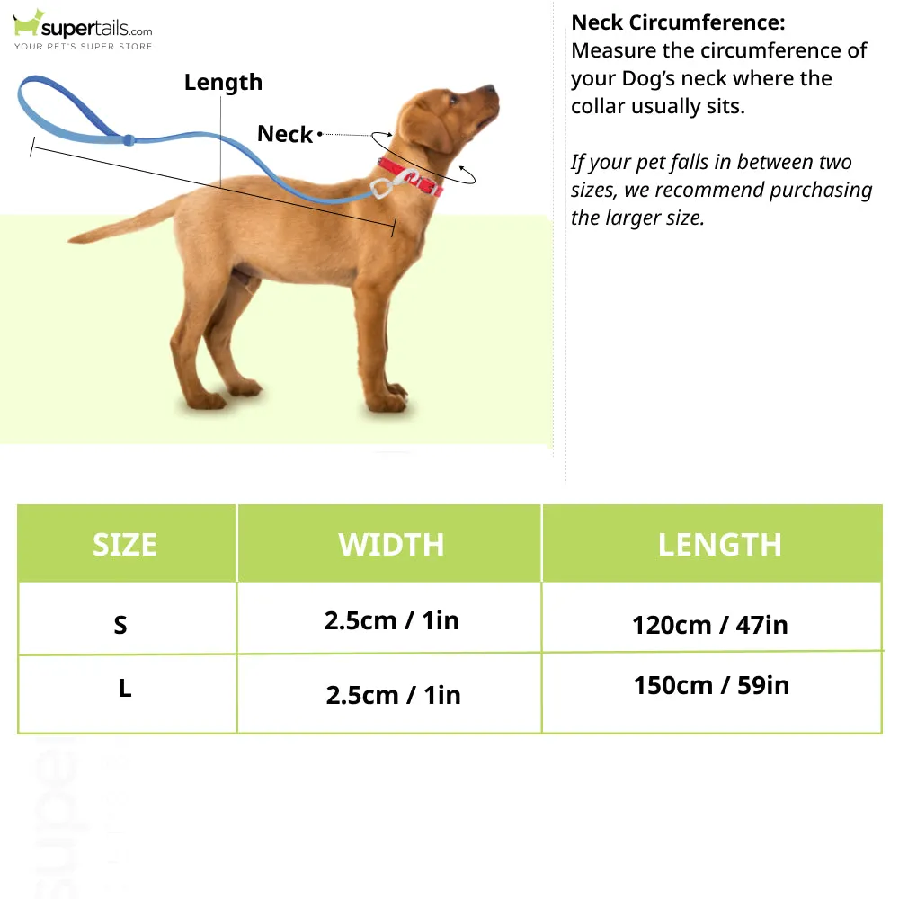 Boss Core Walk Leash for Dogs (Jet Black)