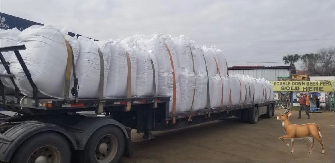 COTTON SEED 1000 LBS