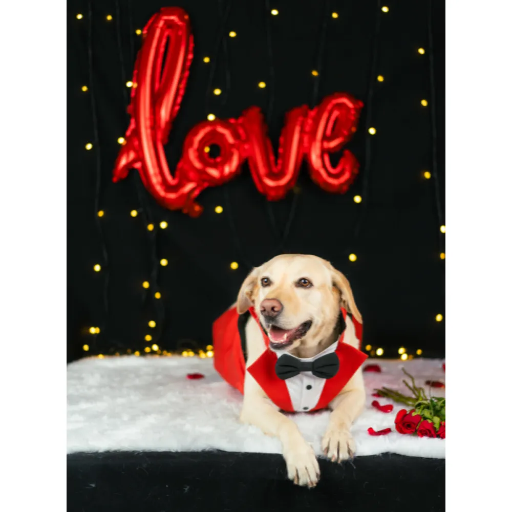Dogobow Tuxedo for Dogs (Red) (Get a Bow Free)