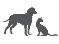Dr Seidel-Provita Probiotic, 15 Dosage Units Pets Qatar