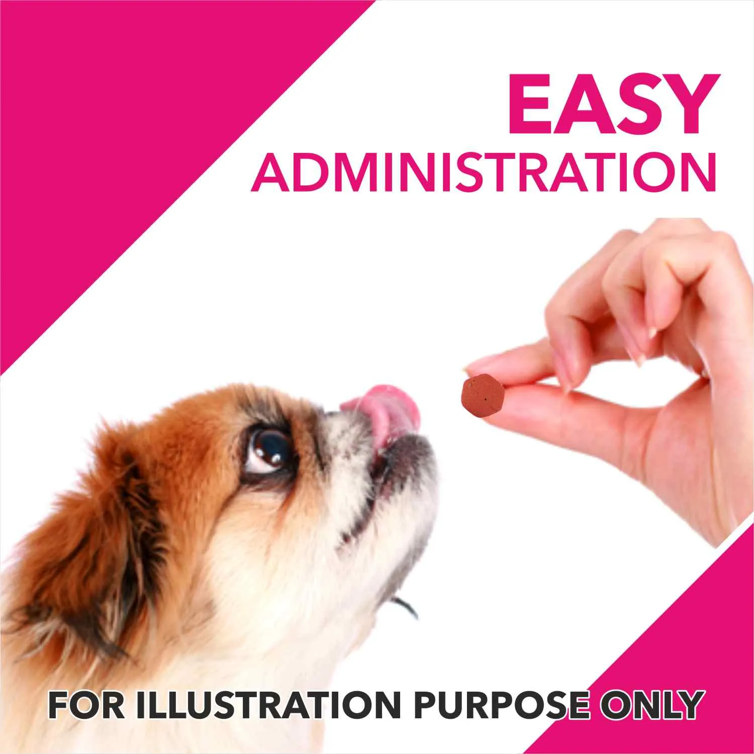 Drools Absolute Calcium, Vitamin and Skin & Coat Dog Supplement Tablets Combo