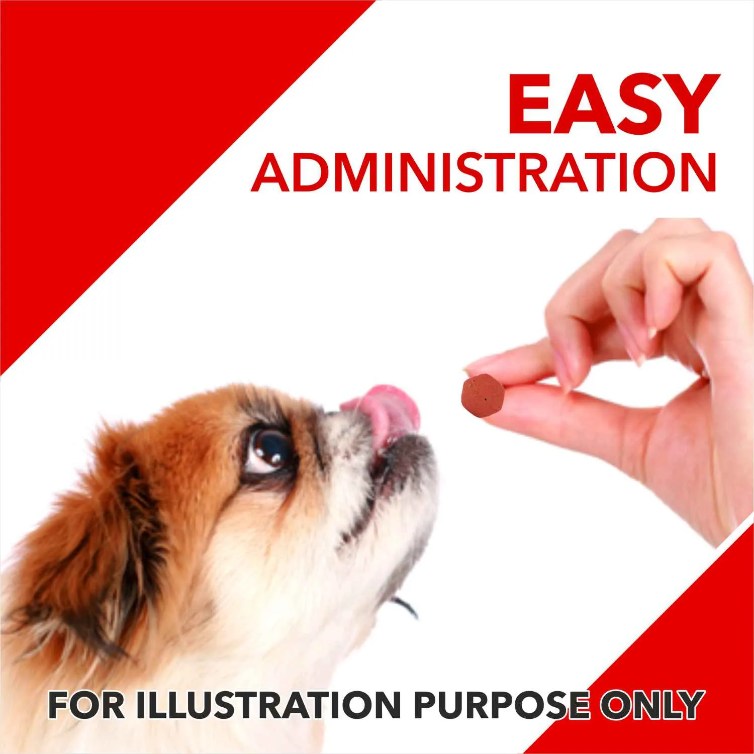 Drools Absolute Calcium, Vitamin and Skin & Coat Dog Supplement Tablets Combo