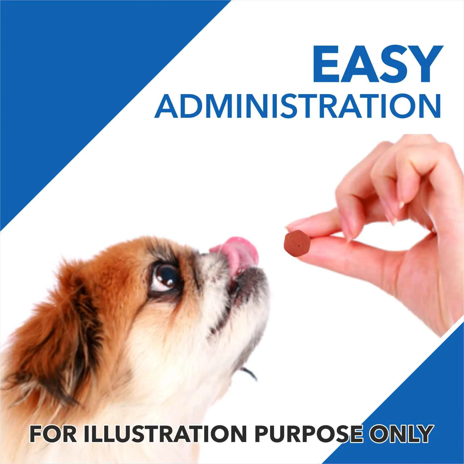 Drools Absolute Vitamin and Absolute Calcium Supplement Tablets for Dogs Combo