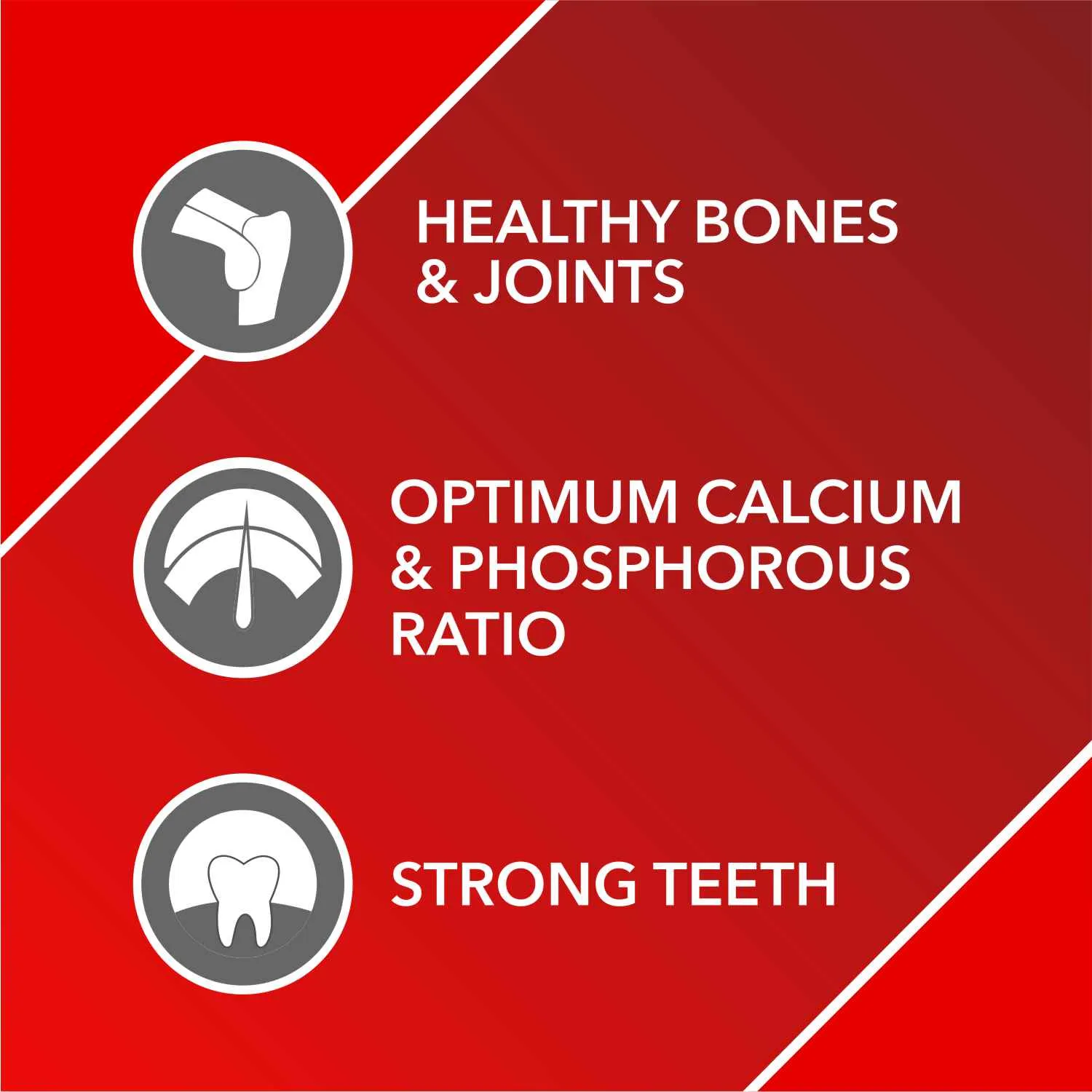 Drools Absolute Vitamin and Absolute Calcium Supplement Tablets for Dogs Combo