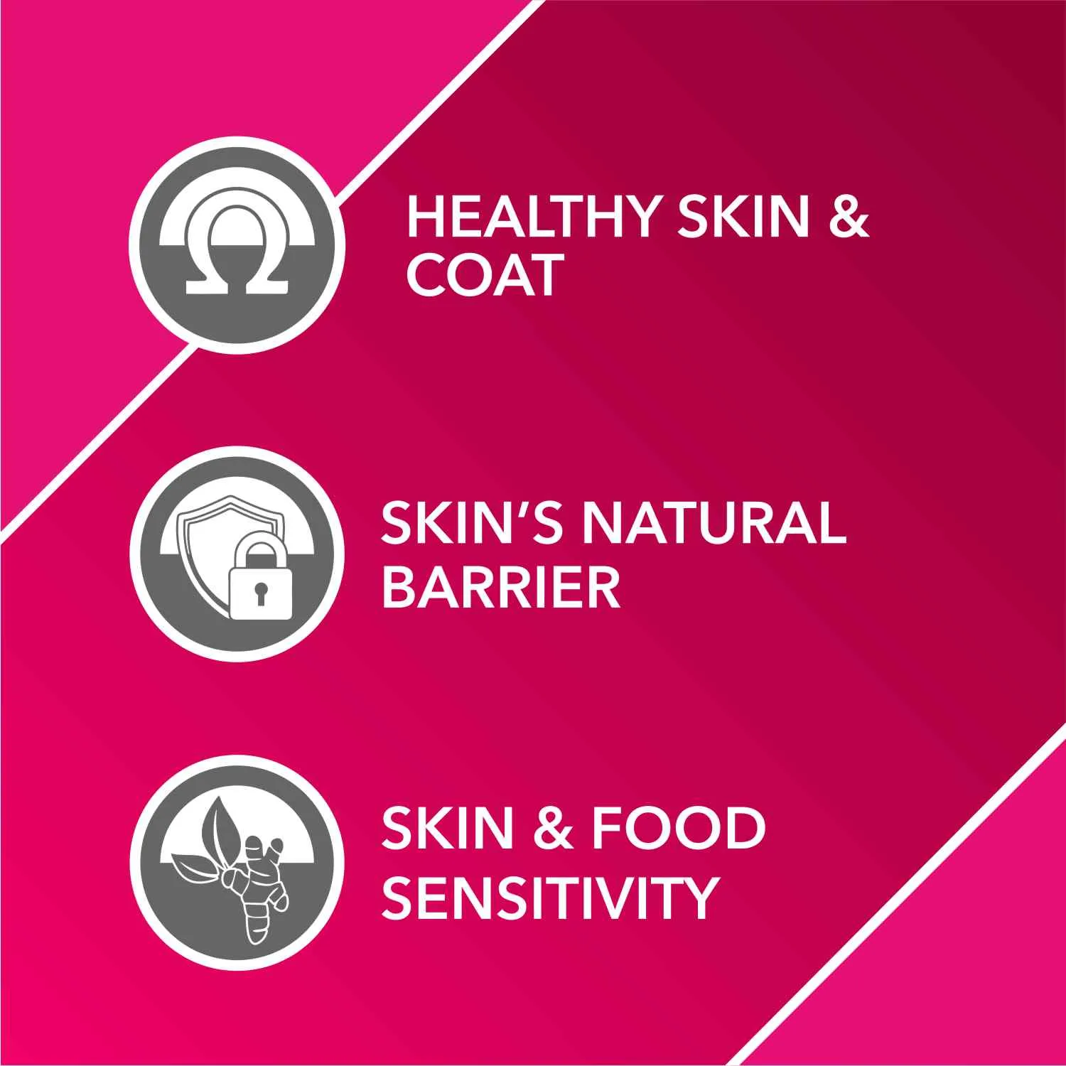 Drools Absolute Vitamin And Skin & Coat Supplement Tablets for Dogs Combo