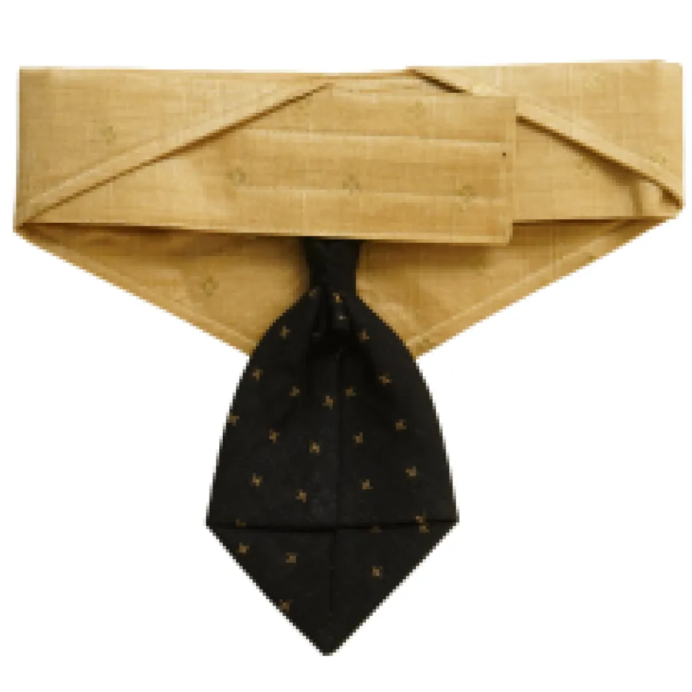 Floof & Co Silk Tie Collar for Dogs (Black & Gold)