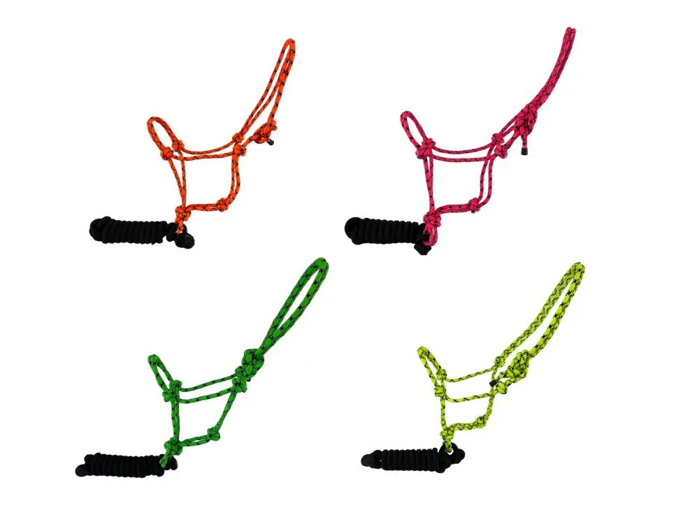 FLUOROSCENT KNOTTED COWBOY HALTER W MATCHING LEAD