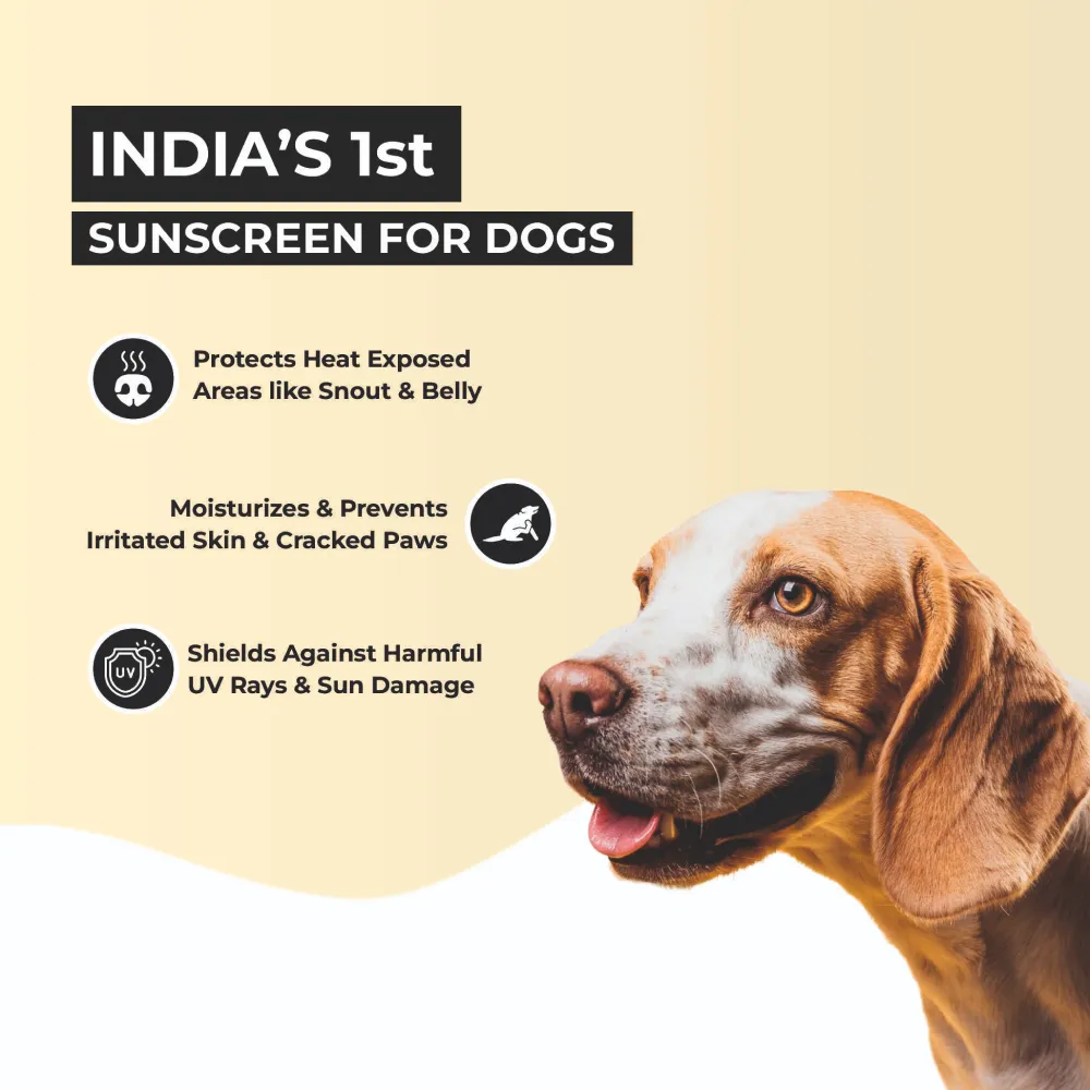 FurBall Story Cool Pet Sunscreen and Moisturizer for Dogs and Cats