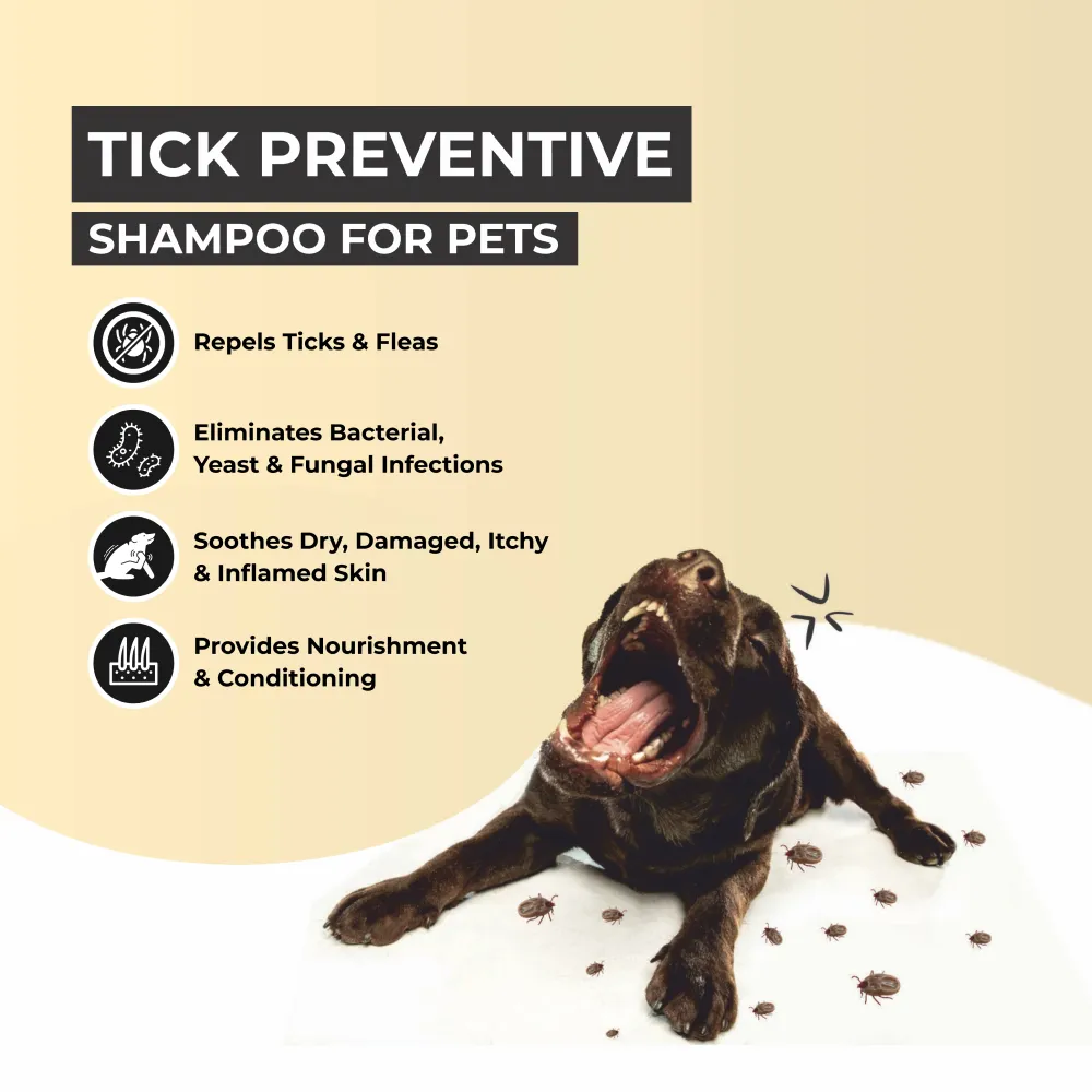 FurBall Story Shampooch Tick Free Shampoo for Dogs