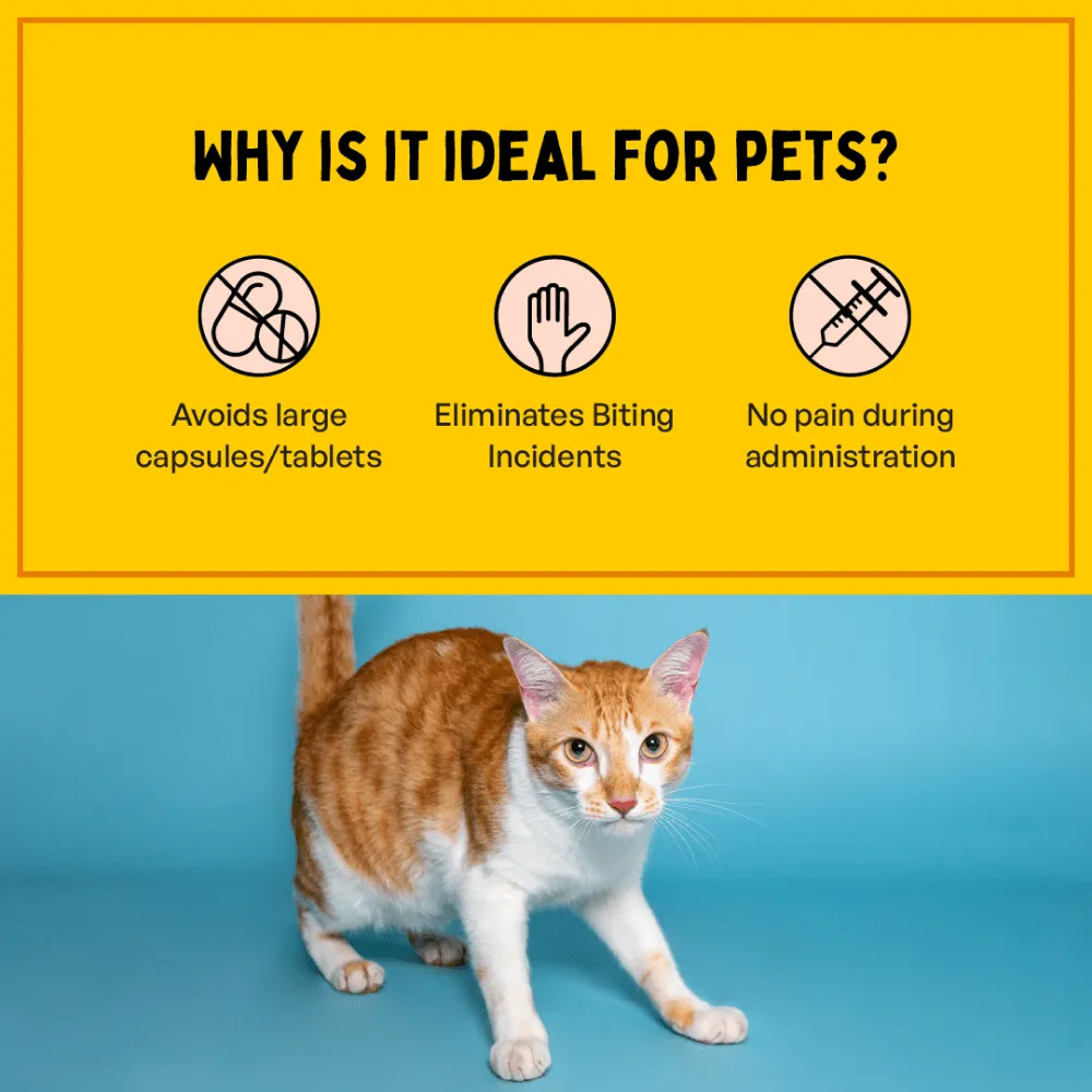 Furlicks Calming Aid for Cats and Dogs