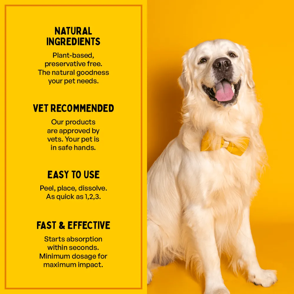 Furlicks Skin & Coat Supplement for Cats and Dogs