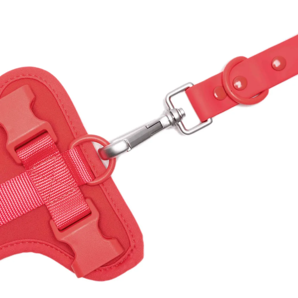 Furry & Co Bold Harness, Collar and Leash for Dogs Combo (Coral Red)