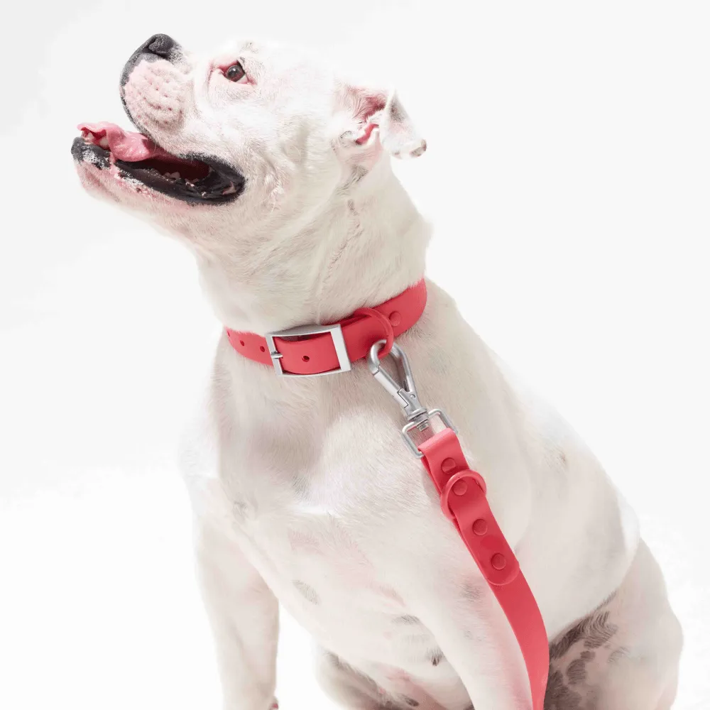 Furry & Co Bold Harness, Collar and Leash for Dogs Combo (Coral Red)