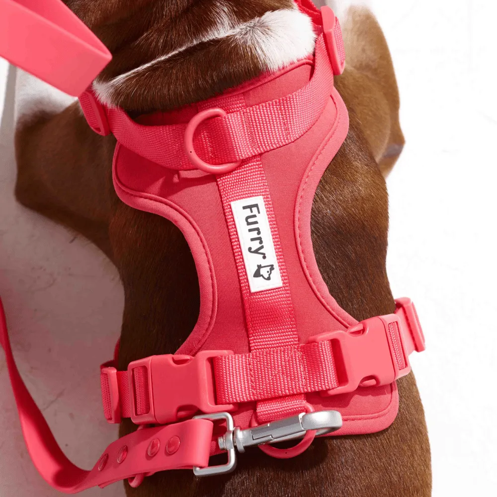 Furry & Co Bold Harness, Collar and Leash for Dogs Combo (Coral Red)