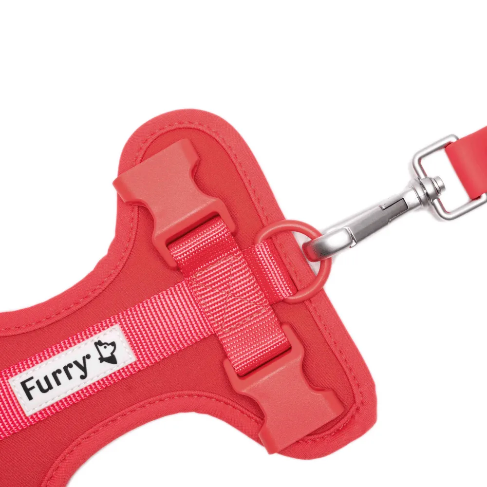 Furry & Co Bold Harness, Collar and Leash for Dogs Combo (Coral Red)