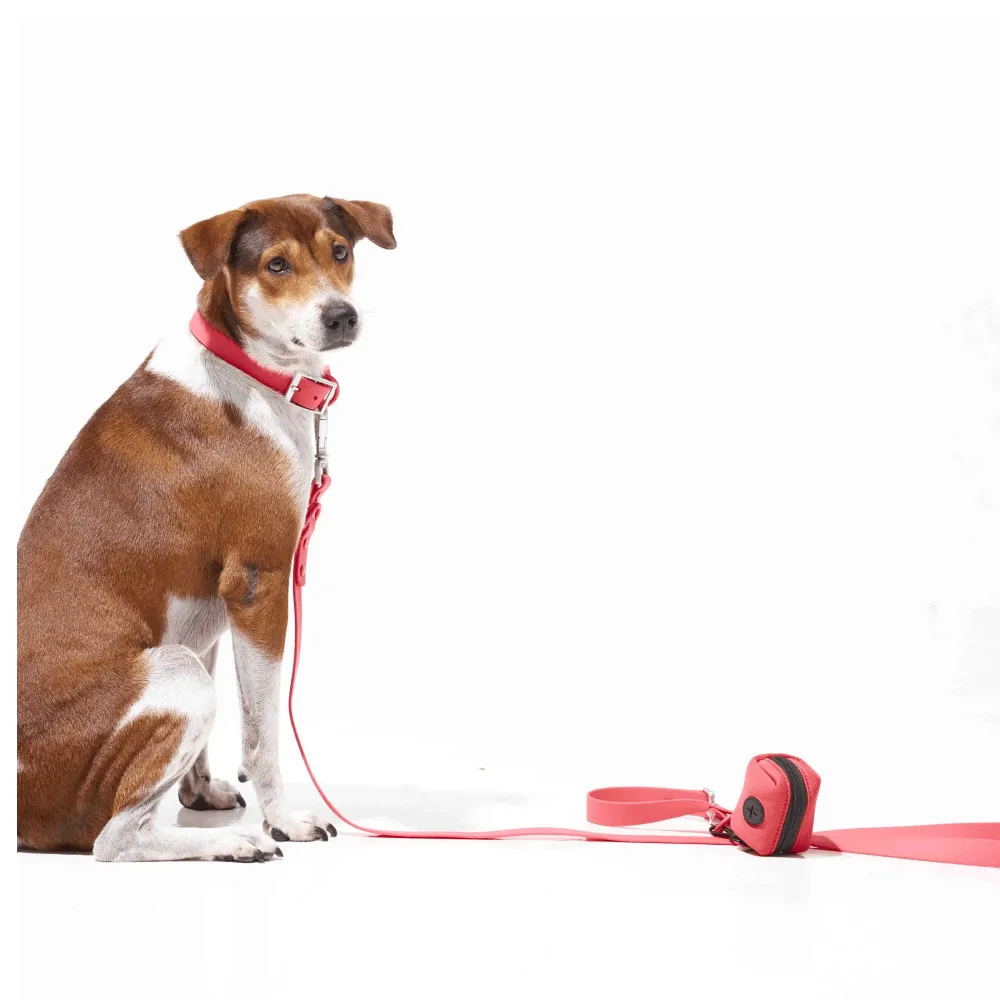 Furry & Co Bold Harness, Collar and Leash for Dogs Combo (Coral Red)