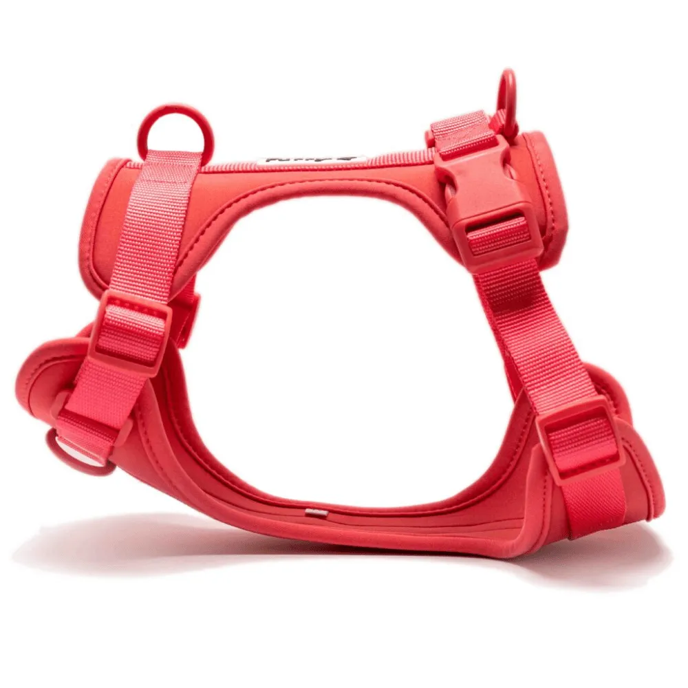 Furry & Co Bold Harness, Collar and Leash for Dogs Combo (Coral Red)
