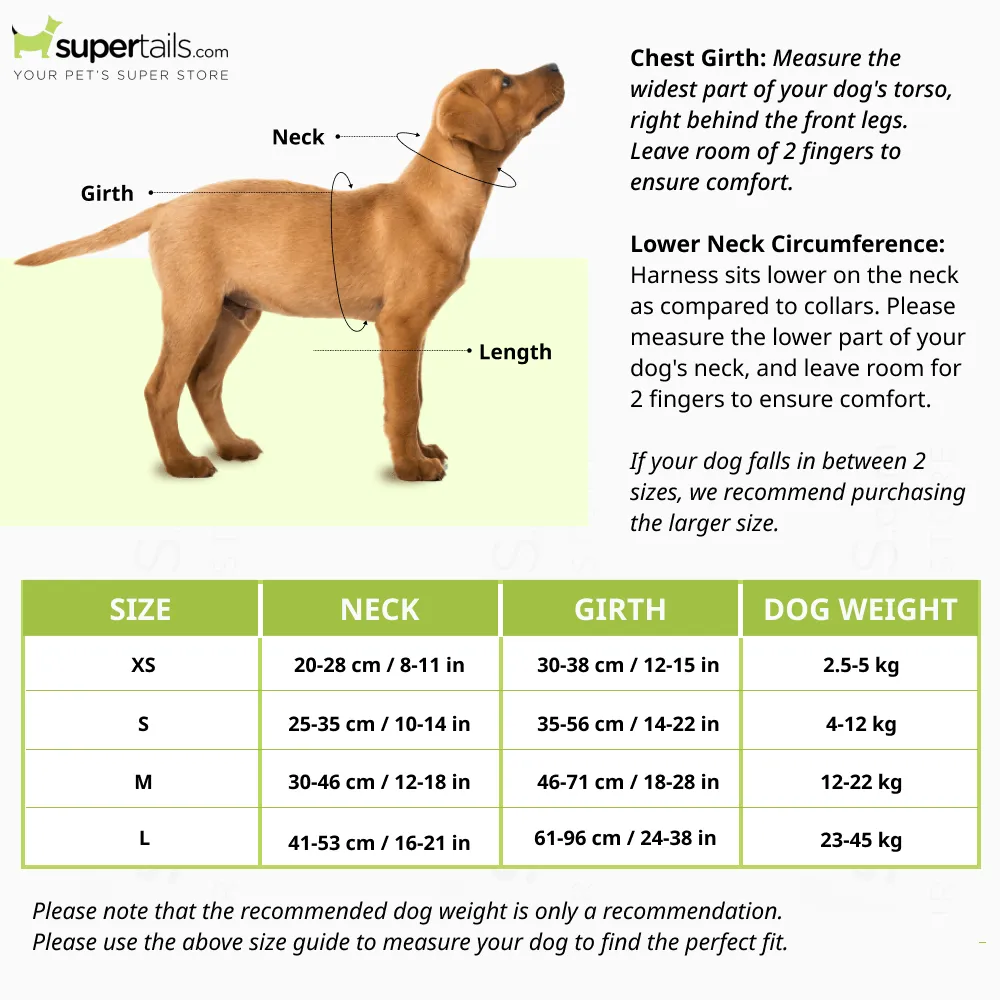 Furry & Co Bold Harness for Dogs (Mango)