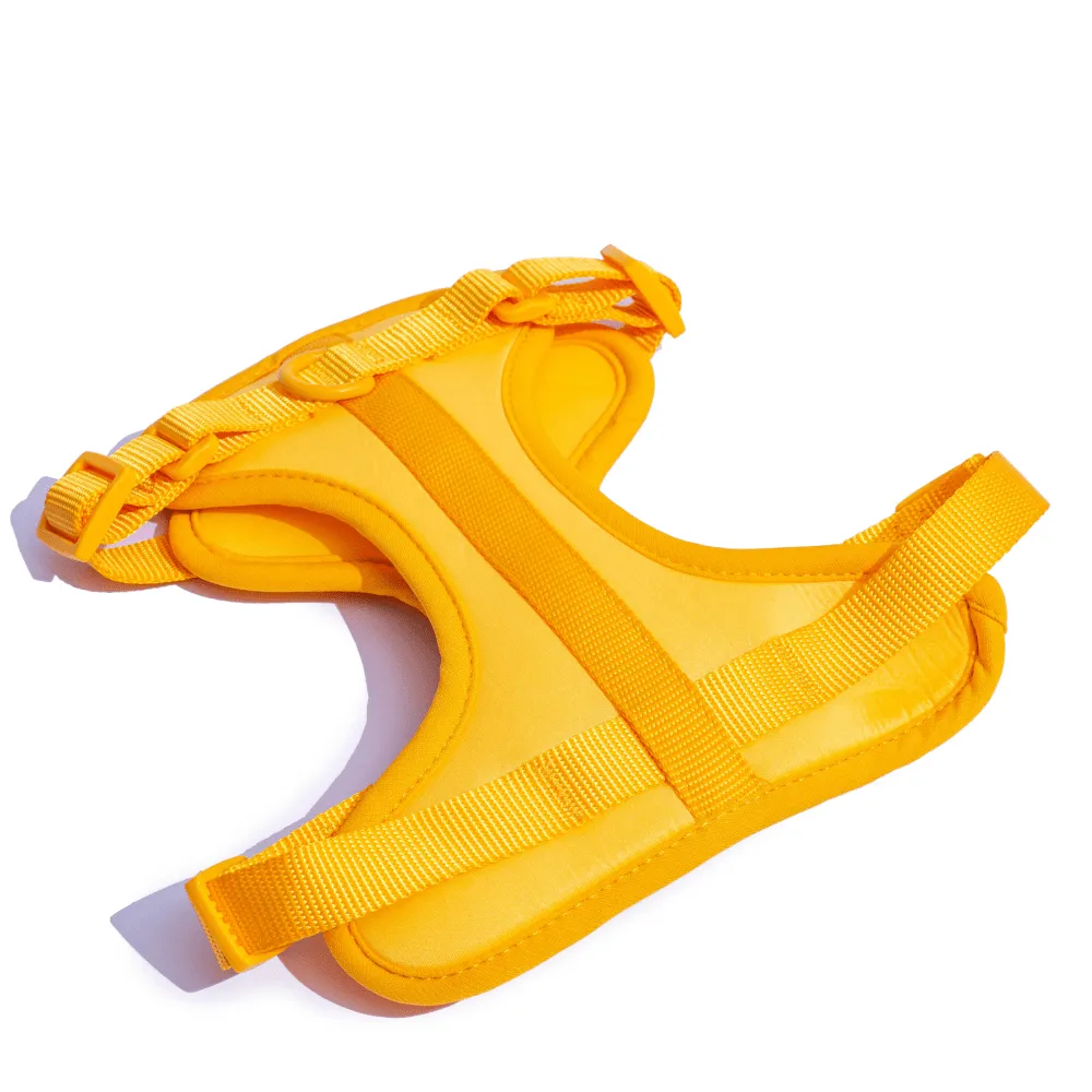 Furry & Co Bold Harness for Dogs (Mango)