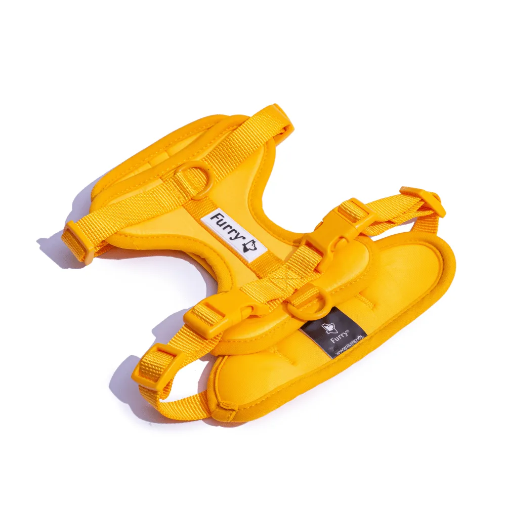 Furry & Co Bold Harness for Dogs (Mango)