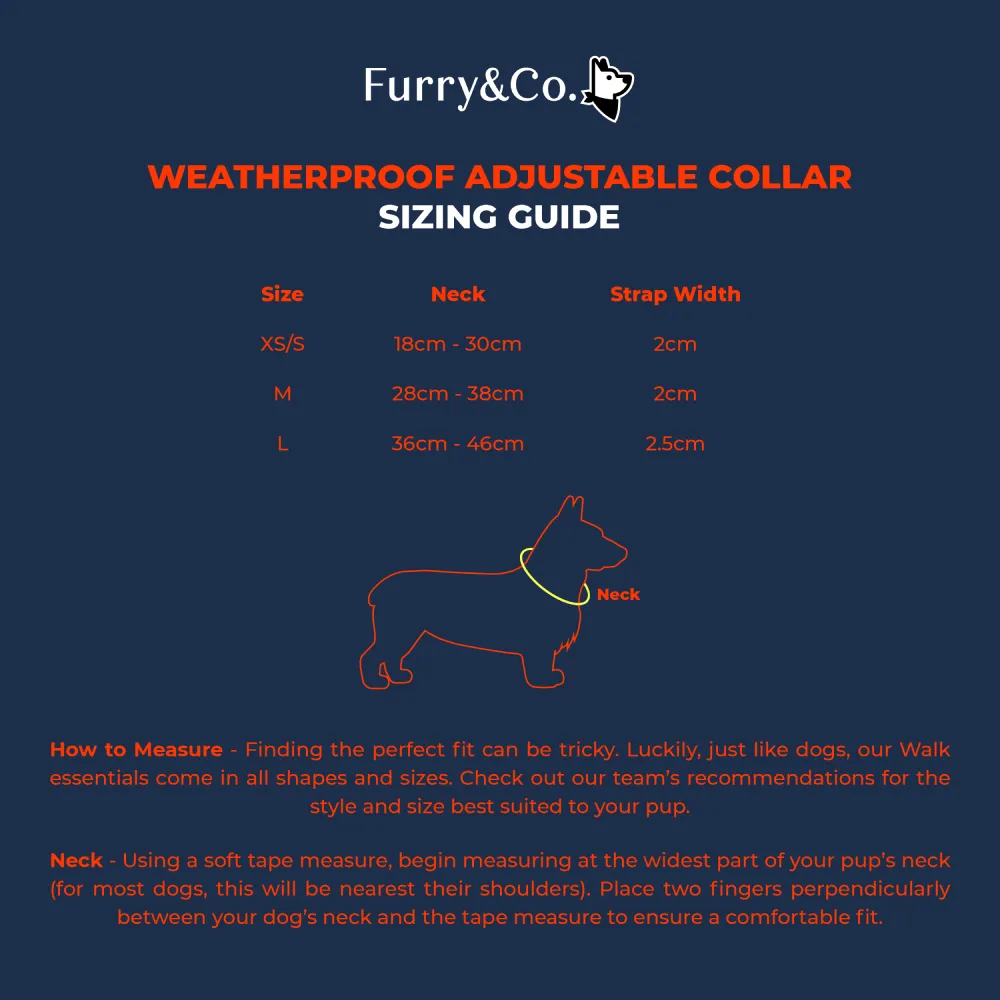 Furry & Co Weatherproof Collar for Dogs (Everest Blue)