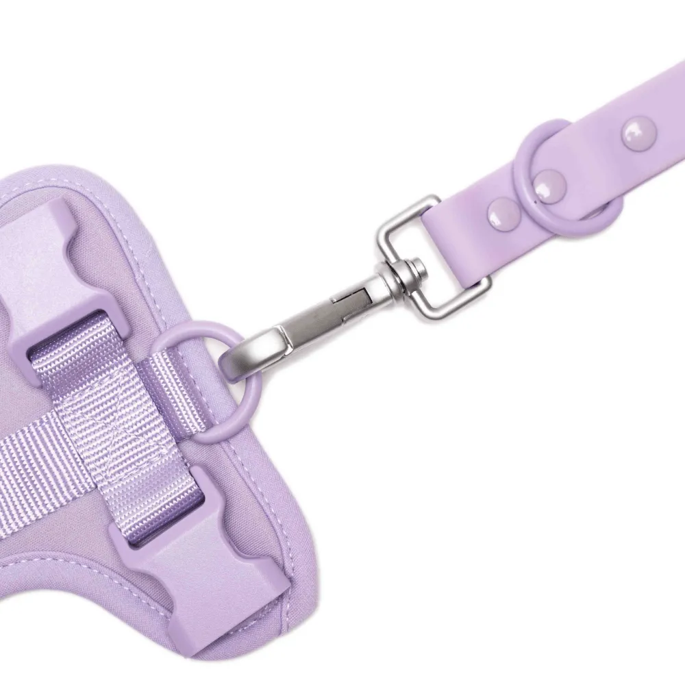 Furry & Co Weatherproof Leash for Dogs (Lilac)