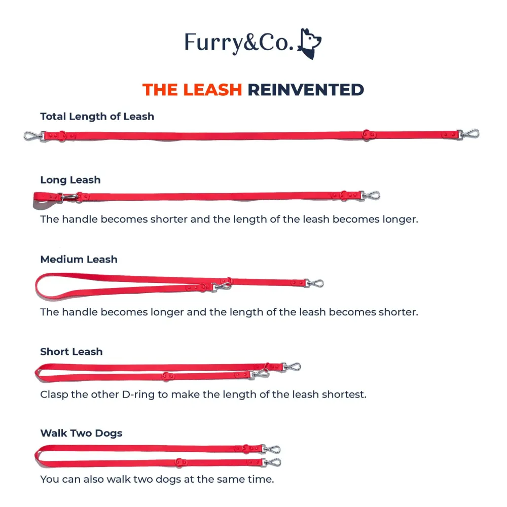 Furry & Co Weatherproof Leash for Dogs (Lilac)