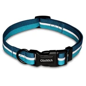 Glucklich Everyday Reflective Collar for Dogs (Sea Green)