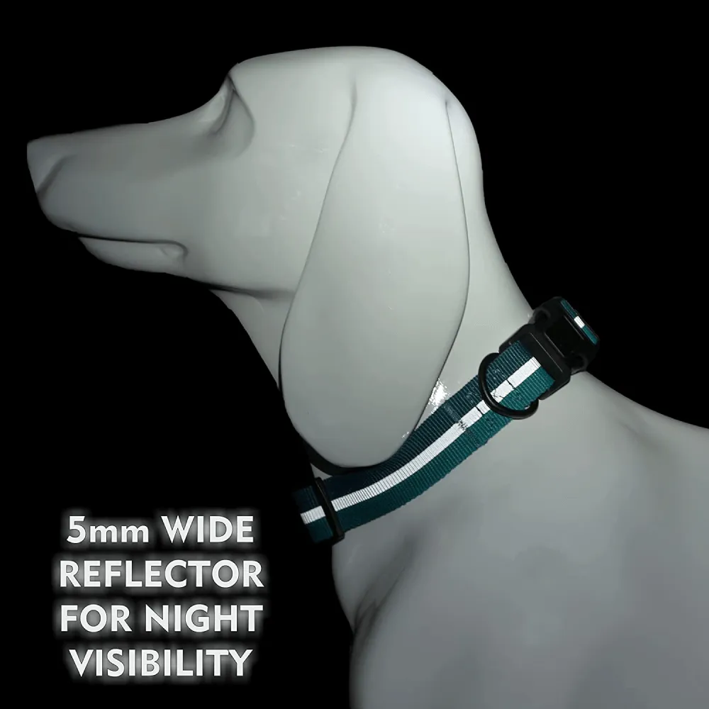 Glucklich Everyday Reflective Collar for Dogs (Sea Green)