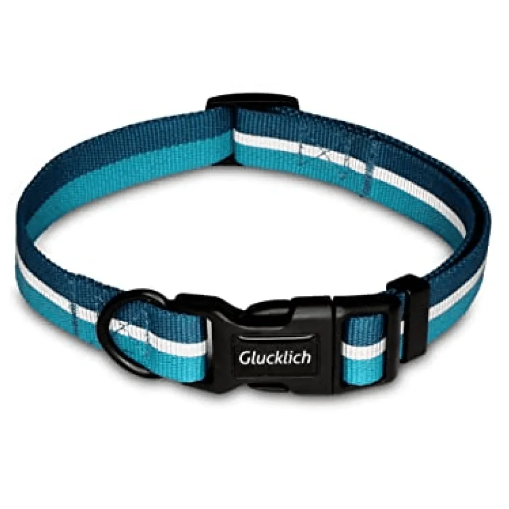 Glucklich Everyday Reflective Collar for Dogs (Sea Green)