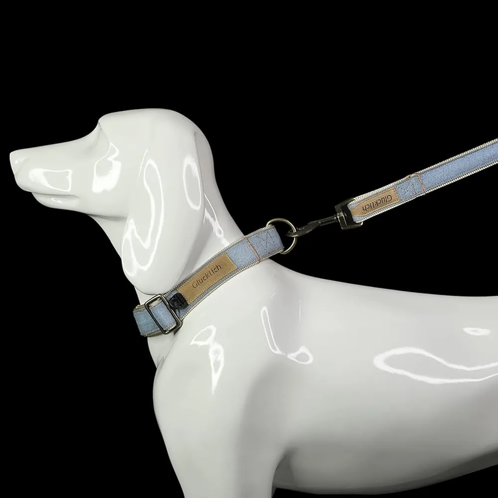 Glucklich Heavy Duty Printed Leash for Dogs (Light Blue)