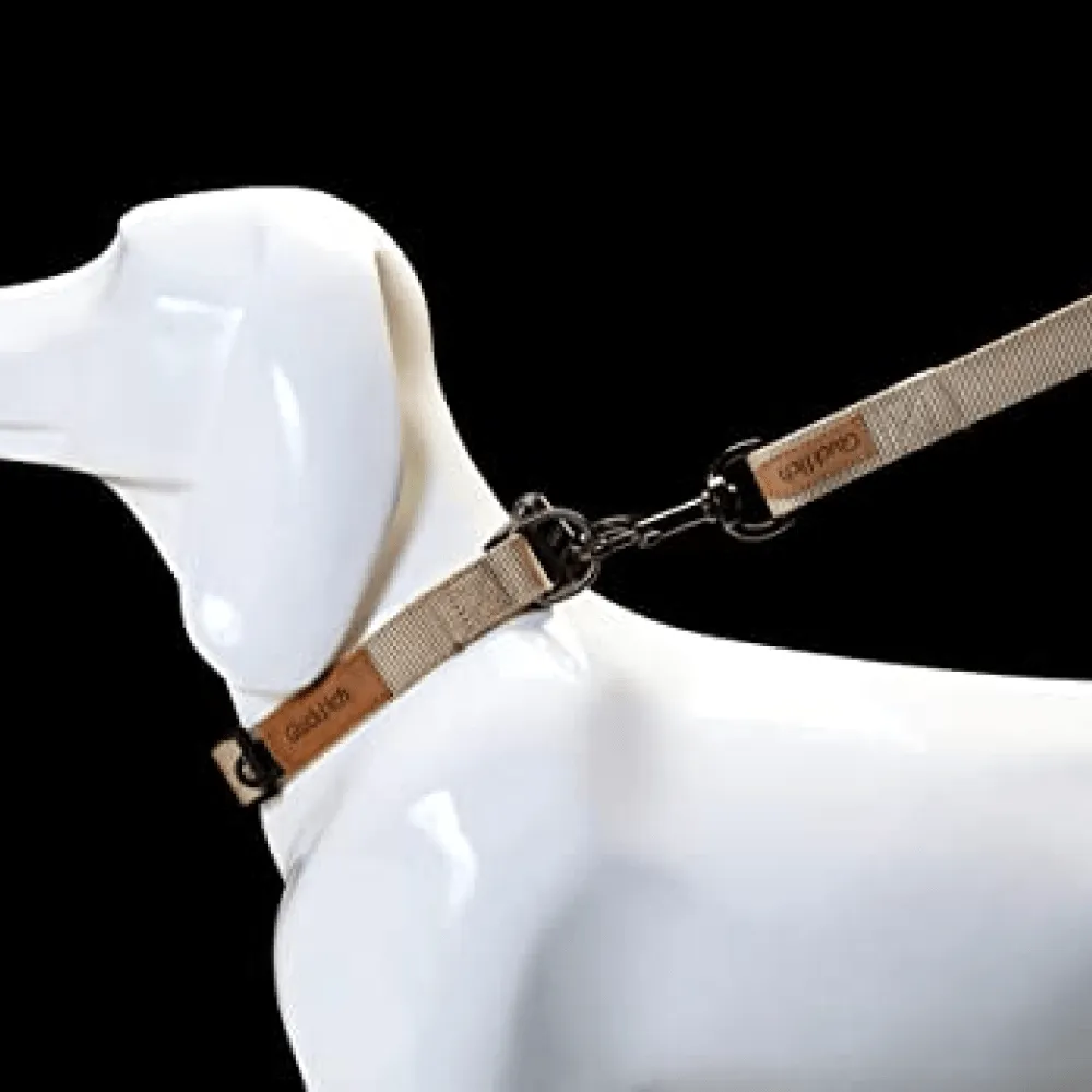 Glucklich Pet Essentials Classic Nylon Collar for Dogs (Beige)