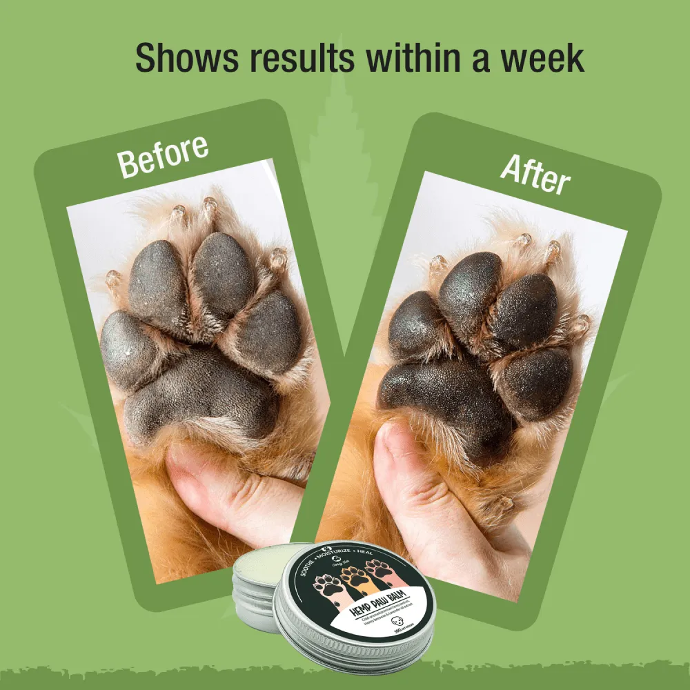 Goofy Tails Hemp Butter Paw Cream for Dogs
